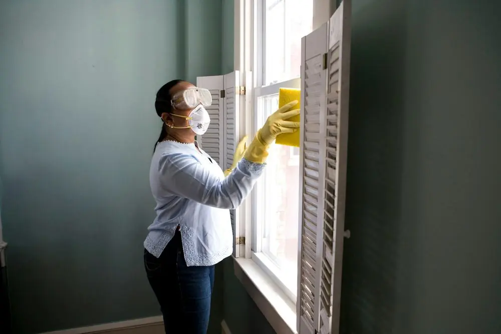 NL Cleaning team member detail-cleaning a window