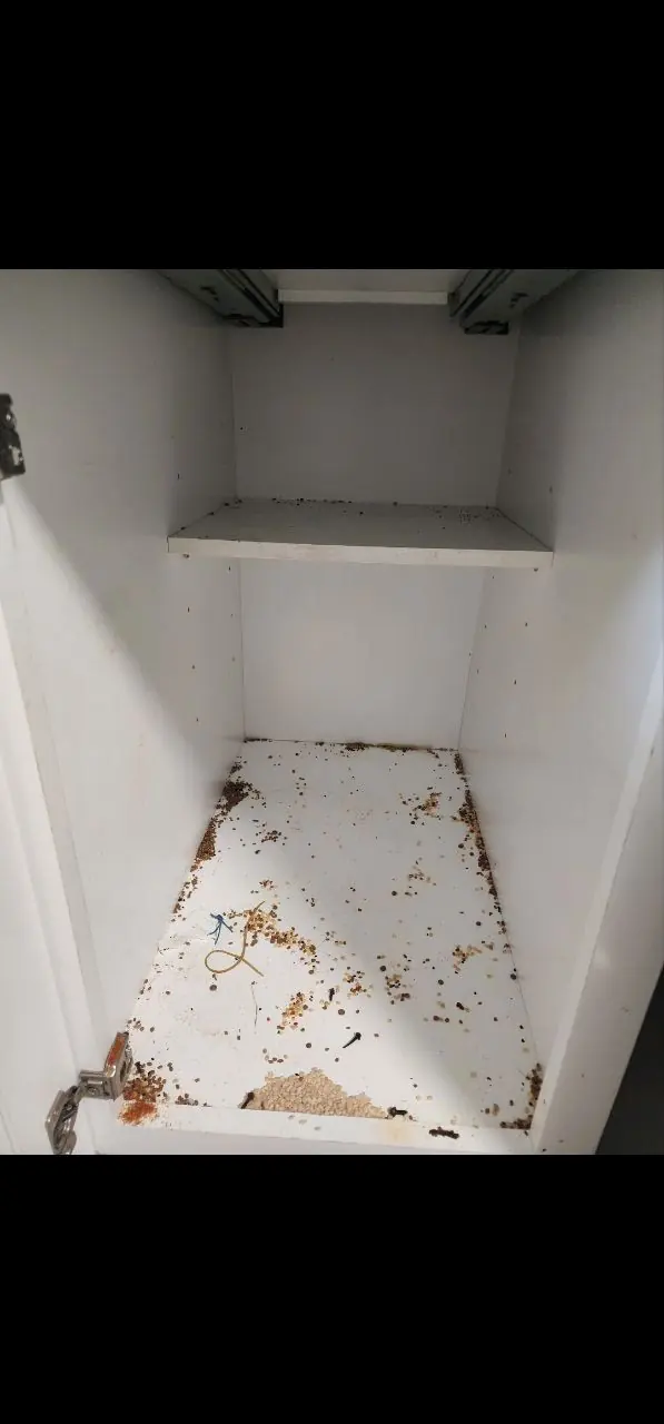 Before: kitchen cabinet interior cleaning