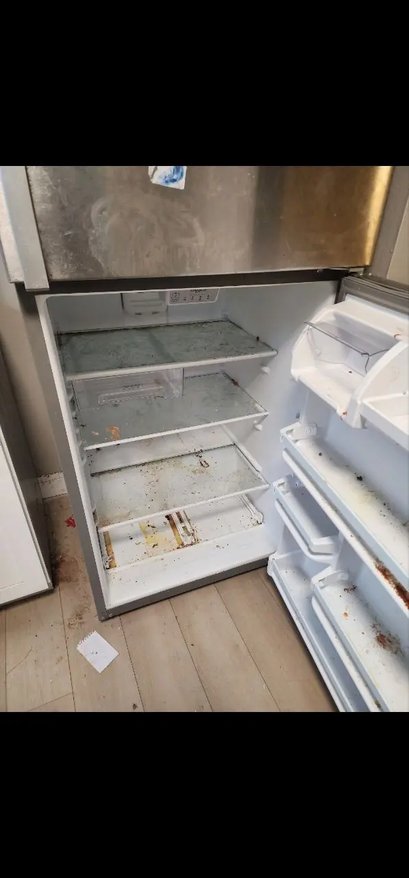 Before: refrigerator interior deep cleaning